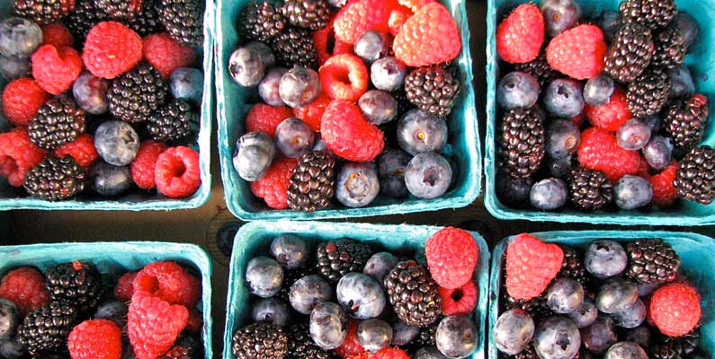 Antioxidants Berries