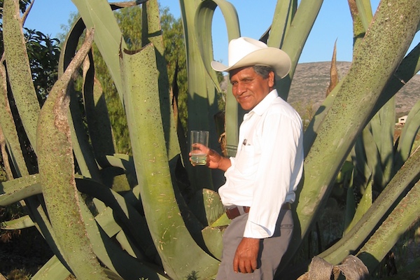 The Agave Growers of Ixmiquilpan - A Bright Future (3 of 3)